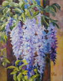 Wisteria